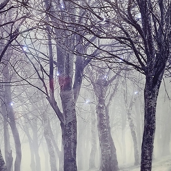 Canva Wall Art. Lighted. Forest with fog and snowy ground. - Picture 2 of 8